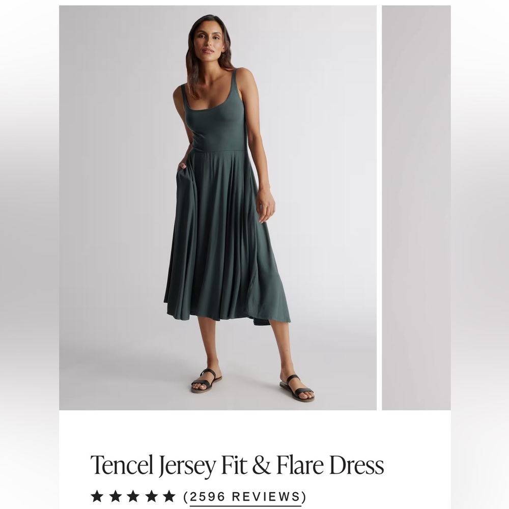 Quince Tencel Jersey Fit & Flare Dress